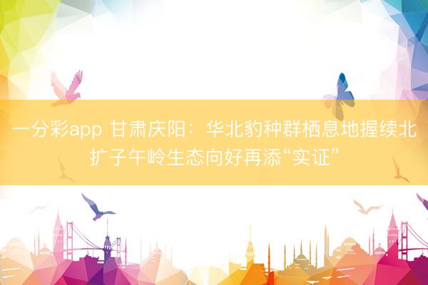 一分彩app 甘肅慶陽:華北豹種群棲息地握續北擴子午嶺生態向好再添“實證”